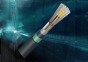 慈溪市三網通信設備廠 gyta6芯室外層絞光纜與燈具銷售動態